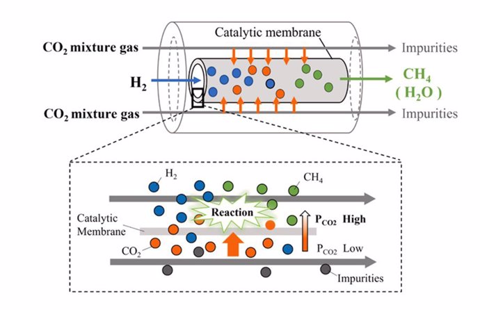 Scheme of the distributor-type membrane reactor for CO2 capture.