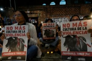 The Colombian Congress prohibits bullfighting throughout the country