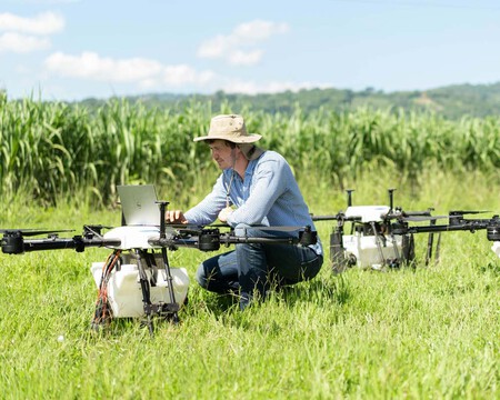 Drones Agriculture