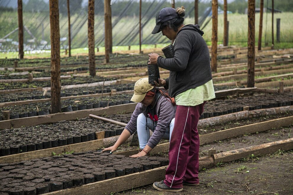 Working poverty decreases in the first quarter of 2024, it stands at 35.8%