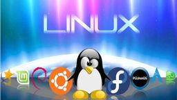 The 10 best Linux distributions of 2024 for each type of user