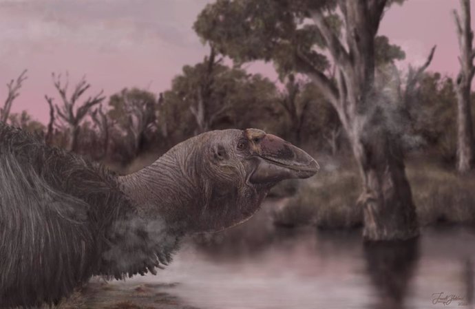 An artistic reconstruction of the life of Genyornis newtoni, the last of the dromornithids, at the water's edge.