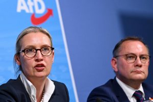 AfD could create a third far-right group in the European Parliament together with Alvise Pérez