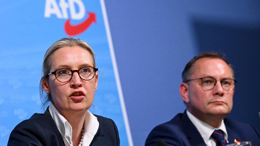 AfD could create a third far-right group in the European Parliament together with Alvise Pérez