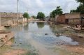 At least 21 dead and 6,000 affected by floods in Niger