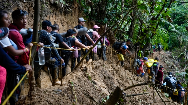 More than 170,000 migrants crossed the Darién between January and May, the majority are from Venezuela