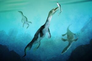 Reconstruction of the oldest marine reptile in the southern hemisphere.  Notosaurs swimming along the ancient southern polar coast of what is now New Zealand about 246 million years ago.