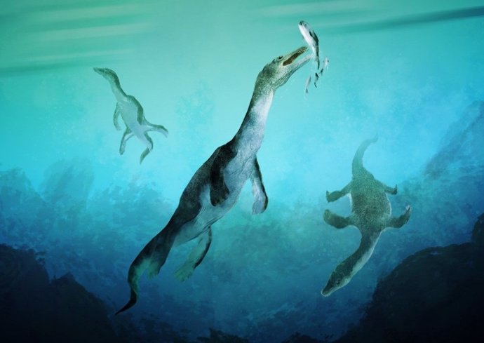 Reconstruction of the oldest marine reptile in the southern hemisphere.  Notosaurs swimming along the ancient southern polar coast of what is now New Zealand about 246 million years ago.