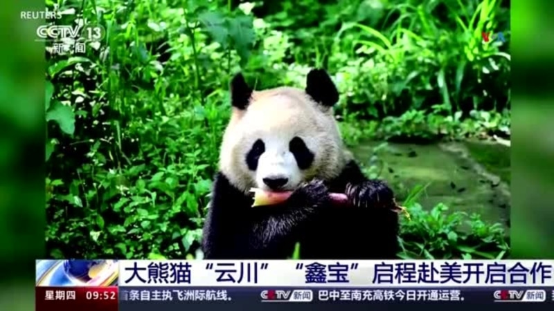 San Diego welcomes first panda pair to US in 21 years