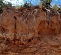 Termite mounds in South Africa inhabited for 34,000 years