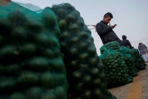 The US will stop importing avocados from Michoacán until insecurity is resolved