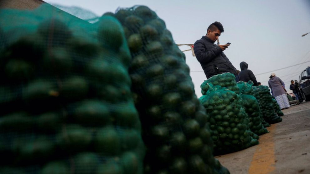 The US will stop importing avocados from Michoacán until insecurity is resolved