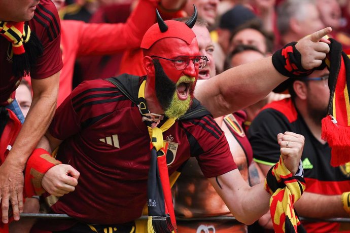 Belgium national team fan during a match at the Euro Cup