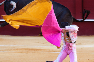 The controversy generated by a statue of the bullfighter César Rincón that was removed in Duitama