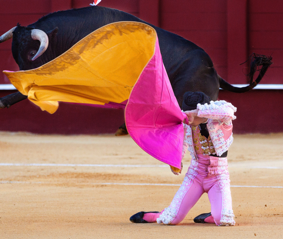 The controversy generated by a statue of the bullfighter César Rincón that was removed in Duitama