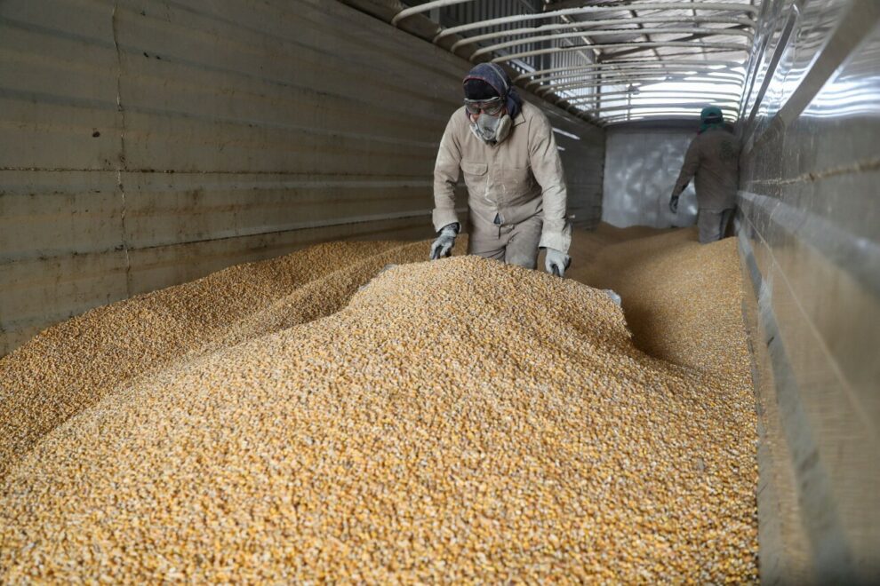 The drought in Mexico will affect the agricultural sector again this year