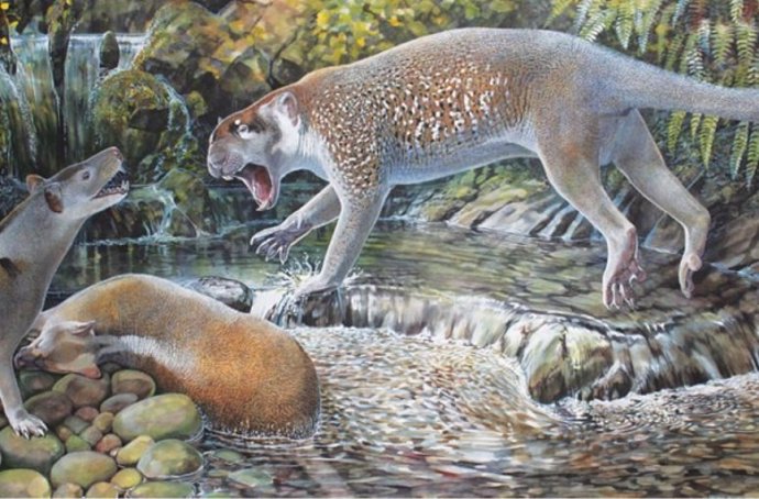 File - Illustration of the extinct marsupial lion species 'Wakaleo schouteni'