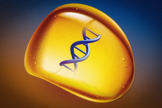 The glassy polymer, similar to amber, can be used for long-term storage of DNA, such as entire human genomes or digital files such as photographs.