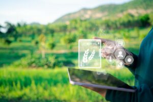 This is how AI can help optimize water consumption in agriculture