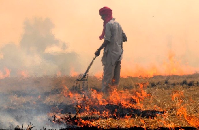 Agricultural burning in India