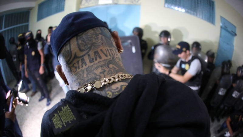 What is the power of the gangs in Guatemala and what does the Arévalo government plan to dismantle them?