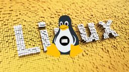 What are the best Linux distributions of 2024?