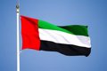 AI denounces that an Emirati court has convicted 84 people in a massive macro trial