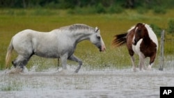 In Photos | Beryl passes through Texas leaving behind severe flooding and destruction