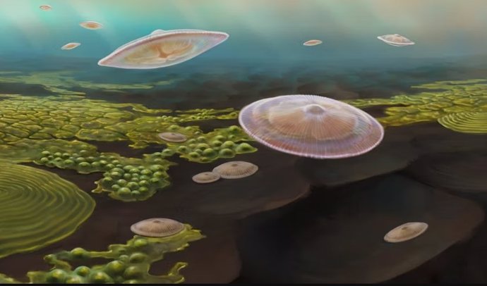 Artist's impression of the lobed macrofossils that lived 2.1 billion years ago in a shallow inland sea created by the collision of two continents.