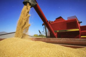 Exporters sell 133,000 tons of corn from the US to Mexico