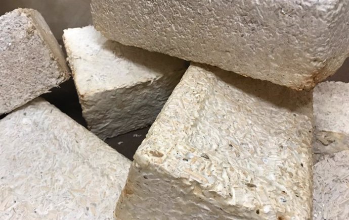 Bricks produced from mycelium, garden waste and wood chips as part of the micro-architecture project. Similar materials could be used to build habitats on the Moon or Mars.