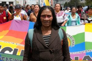 Indigenous people submit project to Assembly demanding consultation on projects in their territory