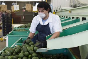 Mexico and the US close a case of labor rights violations at RV Fresh Foods