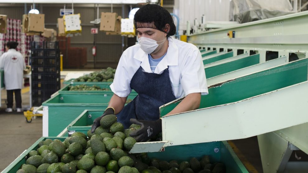 Mexico and the US close a case of labor rights violations at RV Fresh Foods