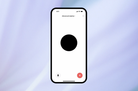 Openai Voice Mode Cover