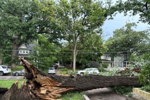 Severe storms with tornado warnings hit the US Midwest, leaving one dead and thousands without power