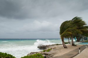 Telmex and Telcel prepare contingency plan for hurricane Beryl