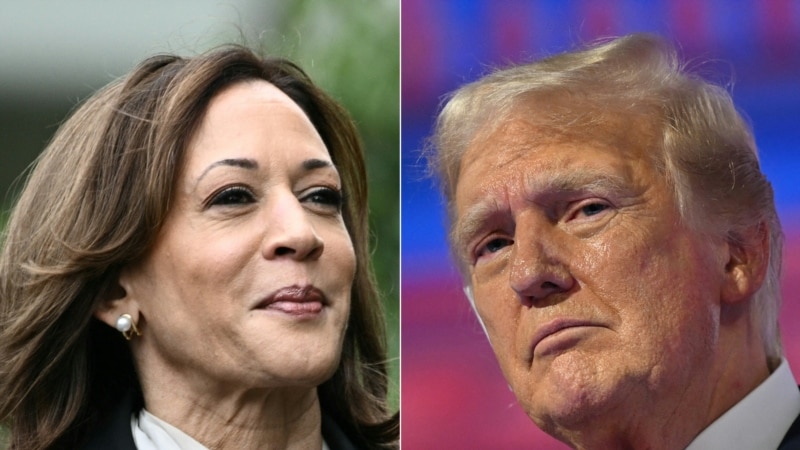 Trump and Harris trade insults in US presidential campaign