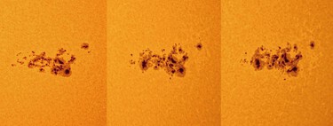 Sunspot AR 3664 has grown as large as the Carrington event. The one that melted the telegraph 165 years ago