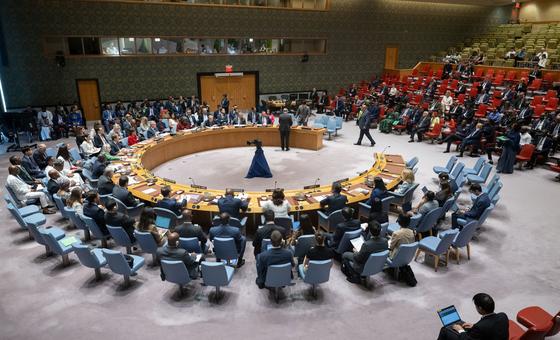 Africa deserves to be a permanent member of the Security Council