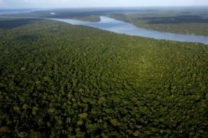 Bolivia and Brazil coordinate plan to quell forest fires in the Amazon