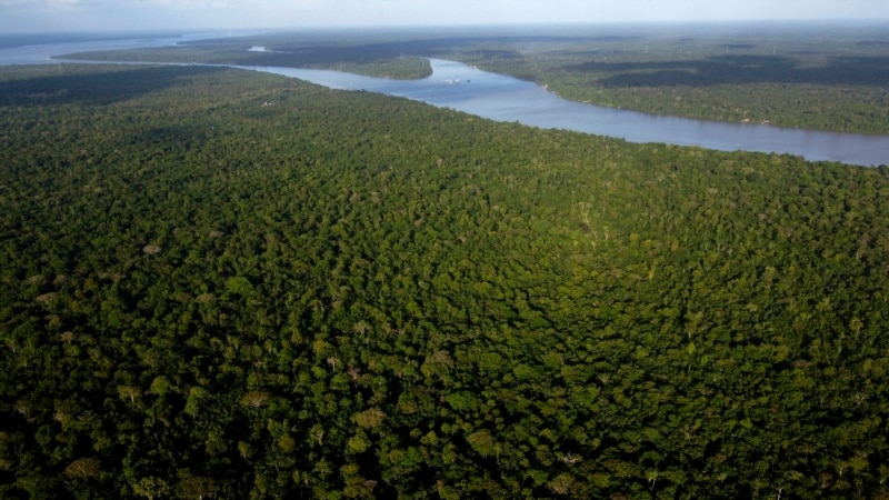 Bolivia and Brazil coordinate plan to quell forest fires in the Amazon