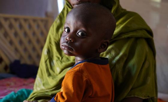 Famine sets in in parts of Darfur, Sudan