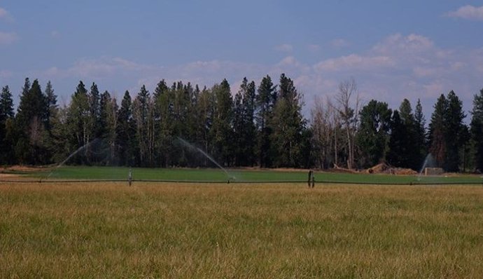 Global wood supply is threatened by northward shift of cropland due to climate change