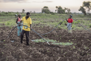 Agriculture climate change