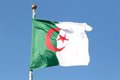 Algeria registers 48.03 percent turnout in presidential elections, nine points more than in 2019