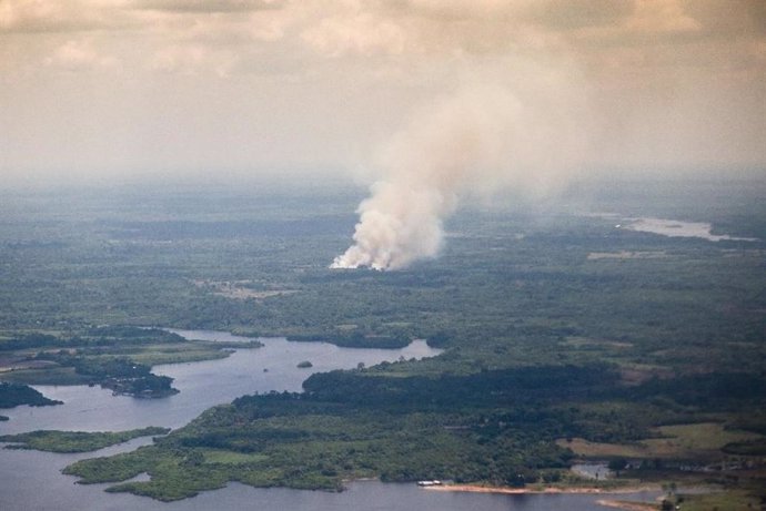 Thick smoke seen from vegetation fires in the Amazon rainforest contains millions of ultrafine particles (diameters less than 50 nm), which could seed droplets in clouds and intensify heavy rainfall in the atmosphere.