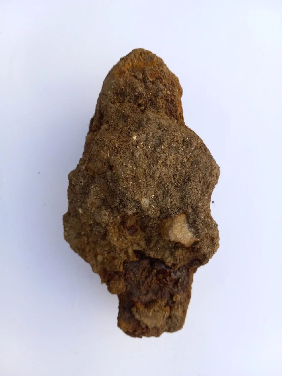 A spearhead found at the site.