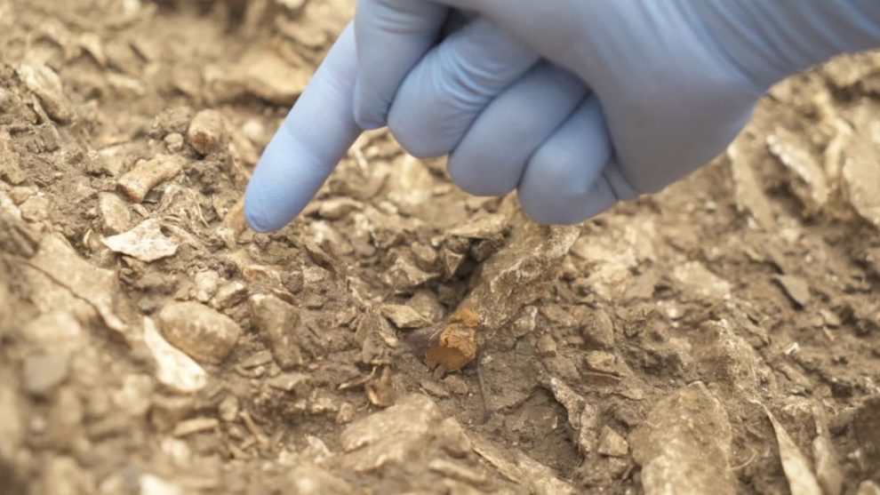 The remains of a Neanderthal, nicknamed Thorin, were discovered in the Mandrin Cave, a rock shelter in the Rhône Valley in southern France. Courtesy of Ludovic Slimak