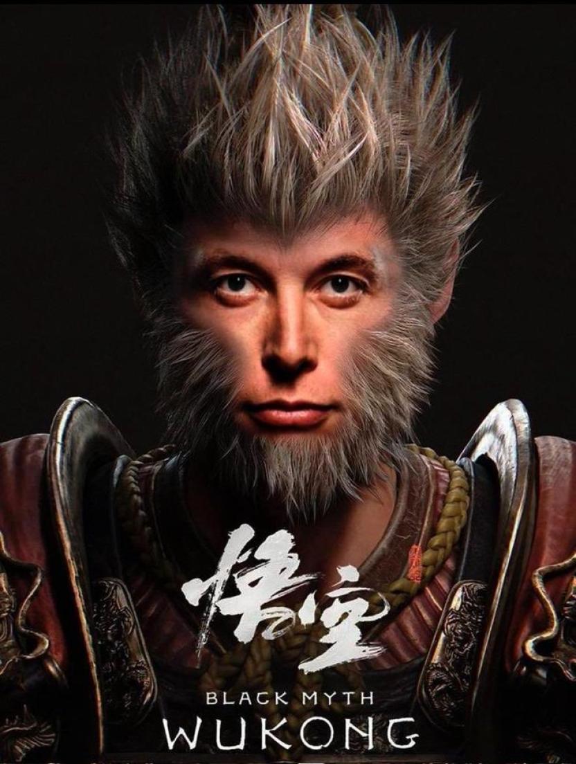 Elon Musk approved Black Myth: Wukong with this image